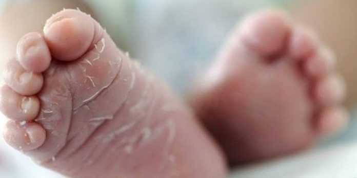 Foto: Gemelas de 15 meses mueren por presunta deshidratación en Francia /Cortesía
