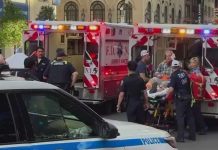 Ataque con cuchillo deja cinco heridos en la estación Penn de Nueva York Foto: Pánico en la estación Penn, Nueva York /Cortesía