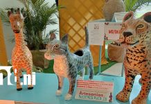Managua premia el talento artesanal que preserva la identidad cultural de Nicaragua Foto: Nicaragua reconoce a sus mejores artesanos /TN8
