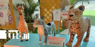 Foto: Nicaragua reconoce a sus mejores artesanos /TN8