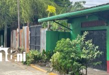 Foto: Otro ataque de pitbull: esta vez un menor de 12 años resulta herido en Masaya /Cortesía