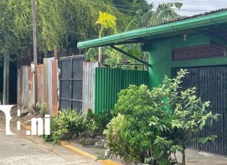 Foto: Otro ataque de pitbull: esta vez un menor de 12 años resulta herido en Masaya /Cortesía