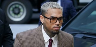 Foto: Chris Brown deberá pagar US$13 millones por el brutal ataque de su perro/Cortesía