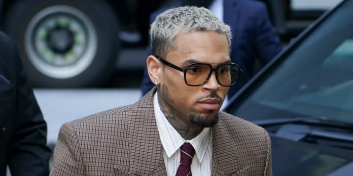 Foto: Chris Brown deberá pagar US$13 millones por el brutal ataque de su perro/Cortesía
