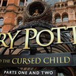Harry Potter celebra 25 años con una fiesta mundial para sus millones de fans Foto: Harry Potter celebra 25 años con eventos mundiales/Cortesía
