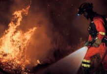 Emergencia nacional en España por devastadores incendios forestales Foto:España declara emergencia nacional por devastadores incendios forestales/Cortesía