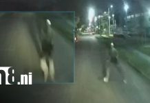Foto: Video de seguridad será clave para esclarecer atropello fatal en Villa Fontana / TN8