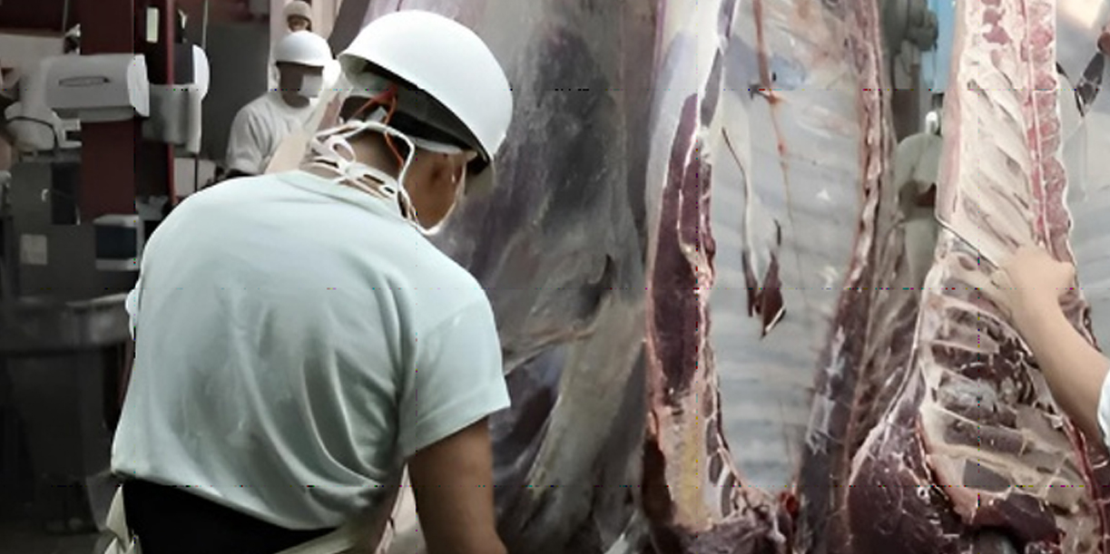Foto: Producción de carne bovina supera las 213 millones de libras en Nicaragua/Cortesía