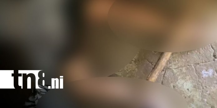 Foto: Macabro hallazgo en Kukra Hill: encuentran asesinada a joven costeña/TN8