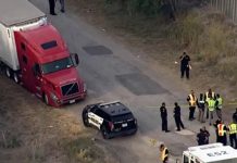 Guatemalteco vinculado a tragedia de migrantes en Texas acepta responsabilidad Foto: Tráfico: guatemalteco admite caso de San Antonio/Cortesìa