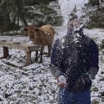 Foto:Frente frío polar paraliza el sur de Brasil con nevadas y temperaturas bajo cero/Cortesía