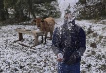 Frente frío polar histórico congela el sur de Brasil y activa alertas nacionales Foto:Frente frío polar paraliza el sur de Brasil con nevadas y temperaturas bajo cero/Cortesía