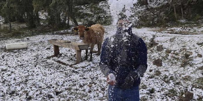 Foto:Frente frío polar paraliza el sur de Brasil con nevadas y temperaturas bajo cero/Cortesía