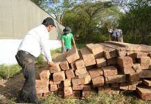 Foto: Nicaragua fortalece exportaciones forestales en 2026/Cortesía