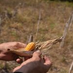 Foto: Brasil activa plan por fenómeno el niño/Cortesía