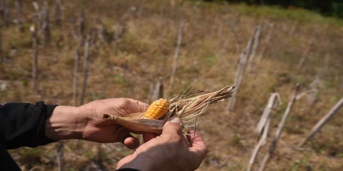 Foto: Brasil activa plan por fenómeno el niño/Cortesía