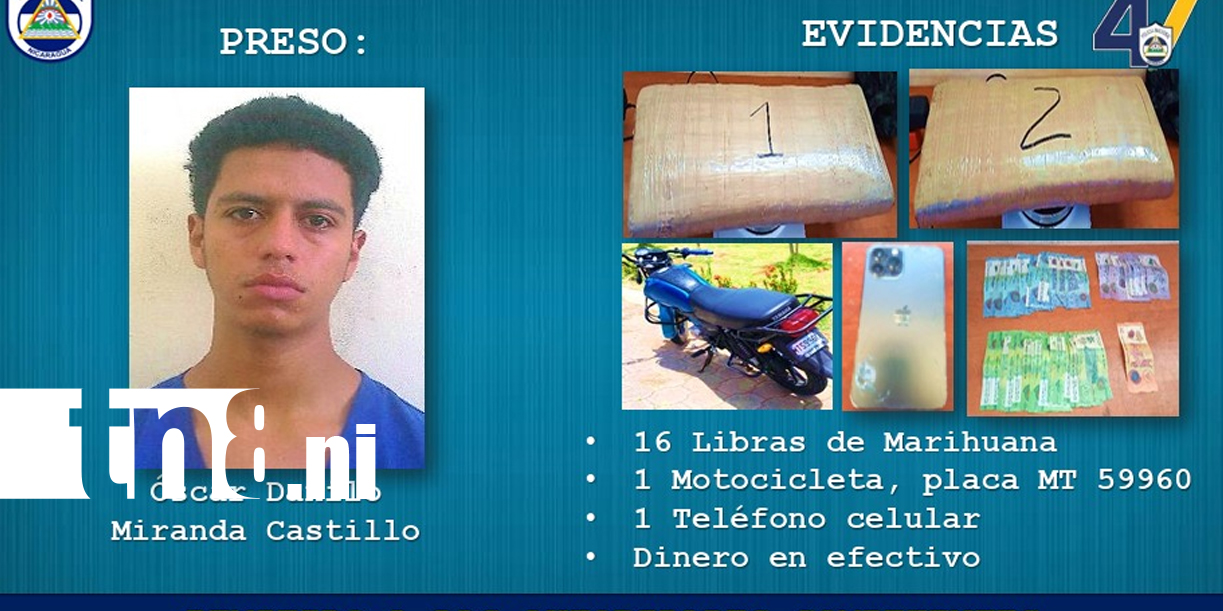 Foto: Capturan a dos sujetos y ocupan 24 libras de marihuana en Estelí/TN8