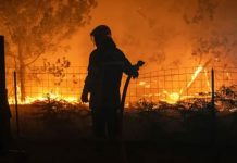 Foto: Incendios en Francia dejan miles de evacuados/Cortesía