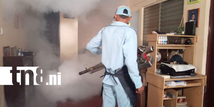 Foto: Brigadas refuerzan lucha contra el dengue en Managua/Cortesía