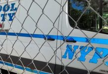 Foto: Nueva York investiga violencia escolar/Cortesía