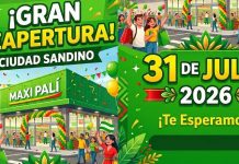 ¿Cuándo abrirá el Maxi Palí de Ciudad Sandino? La espera por fin tiene respuesta Foto: Reapertura del Maxi Palí de Ciudad Sandino este 31 de julio/Cortesìa