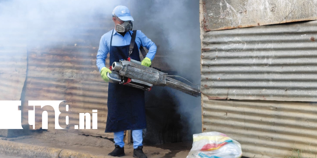Foto: Dengue: brigadas médicas visitan barrio Ayapal/TN8