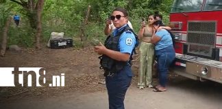 Foto: Fatal descarga eléctrica cobra la vida de un hombre en carretera Nueva a León / TN8
