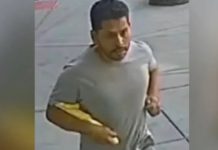Policía de Nueva York intensifica la búsqueda del sospechoso del homicidio de una salvadoreña Foto: Buscan a principal sospechoso del homicidio de una salvadoreña /Cortesía