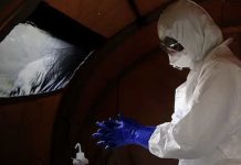 Médicos cubanos desafiaron al Ébola en África: una misión marcada por el valor y la solidaridad Foto:Médicos cubanos frente al Ébola: la misión que desafió la muerte en África/Cortesía
