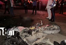 Foto: Dueño de semovientes deberá pagar más de 21 mil dólares por mortal accidente en Jalapa/TN8