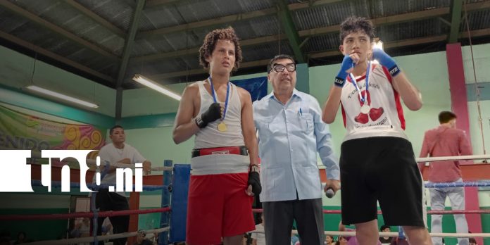 Foto: Nuevas promesas del boxeo avanzan con disciplina/TN8 Foto: Nuevas promesas del boxeo avanzan con disciplina/TN8