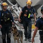 Foto:Héroes de cuatro patas: perros rescatistas desafían los escombros tras los sismos en Venezuela/Cortesía