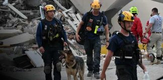 Foto:Héroes de cuatro patas: perros rescatistas desafían los escombros tras los sismos en Venezuela/Cortesía