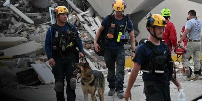 Foto:Héroes de cuatro patas: perros rescatistas desafían los escombros tras los sismos en Venezuela/Cortesía Foto:Héroes de cuatro patas: perros rescatistas desafían los escombros tras los sismos en Venezuela/Cortesía