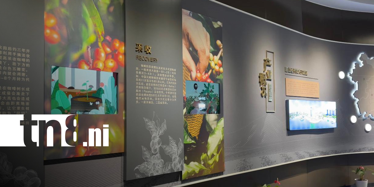 Foto: China busca café de mayor calidad y abre oportunidades globales/TN8