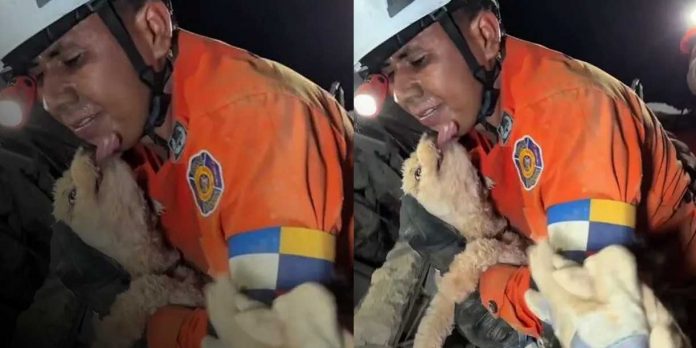 Foto:Una perrita sobrevivió siete días sepultada: el rescate que conmueve a Venezuela/Cortesía Foto:Una perrita sobrevivió siete días sepultada: el rescate que conmueve a Venezuela/Cortesía