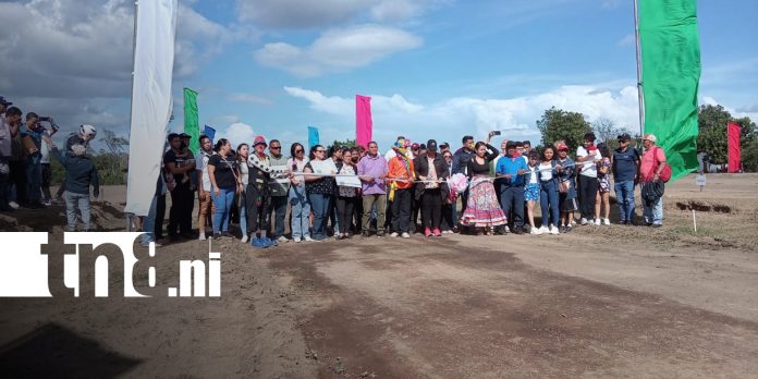 Foto: Programa Bismarck Martínez suma 250 nuevos lotes para familias de Managua/TN8