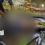 Trágico hallazgo en La Cruz de Río Grande: encuentran sin vida a hombre desaparecido desde el martes Foto: Localizan sin vida a hombre desaparecido en La Cruz de Río Grande/TN8
