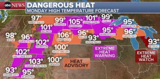 Foto: Calor: más de 100 millones bajo alerta en Estados Unidos/Cortesìa