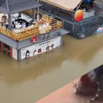 Cientos de serpientes venenosas escapan de criaderos tras inundaciones en China Foto: Serpientes escapan en China tras inundaciones/Cortesìa