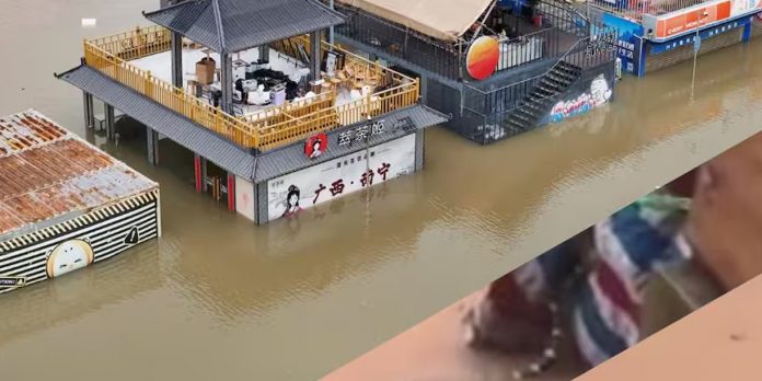 Foto: Serpientes escapan en China tras inundaciones/Cortesìa