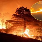 Incendio forestal deja 12 muertos en Andalucía España Foto: España combate devastador incendio forestal/Cortesía