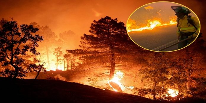 Foto: España combate devastador incendio forestal/Cortesía