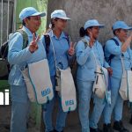 Casa por casa: Brigadistas combaten al mosquito que amenaza con propagar dengue en Managua Foto: Managua intensifica lucha contra el dengue con fumigaciones en el barrio Benedicto Valverde/TN8
