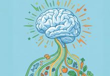 Alimentos que ayudan a cuidar la memoria y proteger el cerebro con el paso del tiempo Foto: Memoria: alimentos que ayudan a proteger el cerebro/Cortesìa