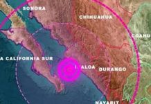 Foto: Sismos sacuden el noroeste de México/Cortesía