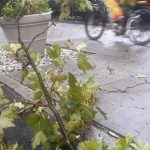 Clima extremo pone en alerta la final del Mundial 2026 en Nueva York Foto: Clima amenaza la final del Mundial 2026 en Nueva York/Cortesìa