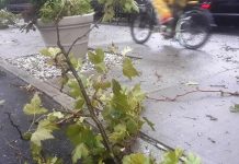 Clima extremo pone en alerta la final del Mundial 2026 en Nueva York Foto: Clima amenaza la final del Mundial 2026 en Nueva York/Cortesìa