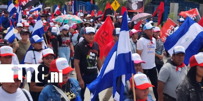 Foto: Revolución: León celebra el 47 aniversario con caminata/TN8 Foto: Revolución: León celebra el 47 aniversario con caminata/TN8