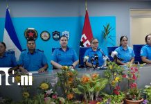 Ministerio del Interior brindó más de 145 mil servicios a las familias nicaragüenses en una semana Foto: Ministerio del Interior brindó 145 mil servicios en una semana/TN8